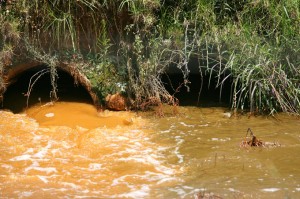 Acid Mine Dumping Into Krugersdorp Game Reserve